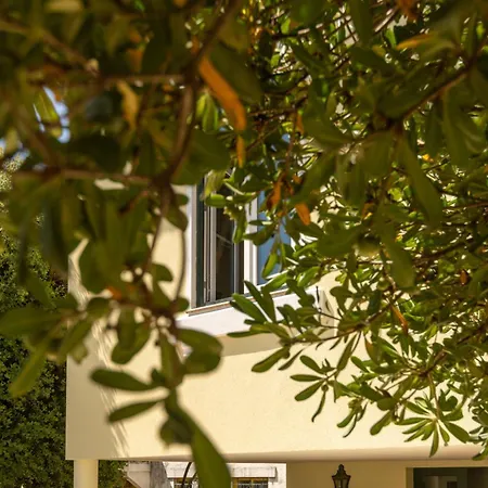 Mar House Arcozelo