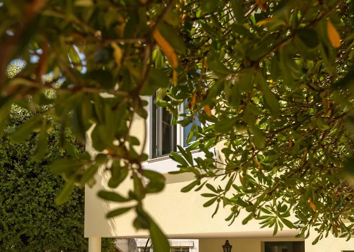 Mar House Arcozelo (Porto)