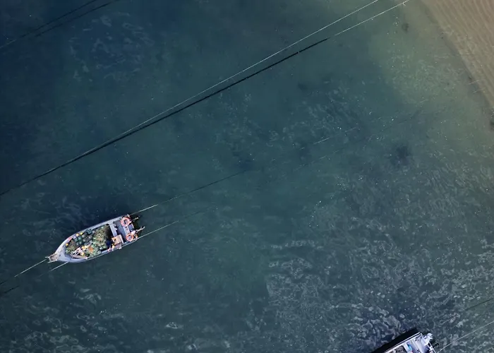 Mar House Arcozelo (Porto)